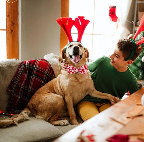 Miniatura 4 de DOGWONG Collar de Navidad para perro con corbatín, collar de perro de Papá Noel rojo, suave, duradero, ajustable, de algodón, para perros pequeños