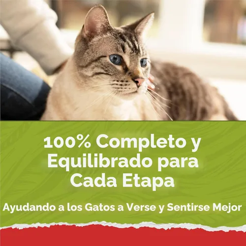 Miniatura 8 de Purina Cat Chow Naturals - Alimento seco para gatos con vitaminas, minerales y nutrientes añadidos, Naturals Original - Bolsa de 13 libras