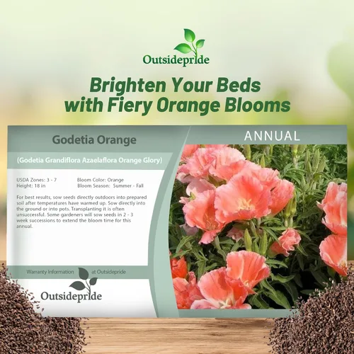 Miniatura 5 de Outsidepride 5000 semillas anuales Godetia Orange Glory Flower Seeds para plantar Naranja