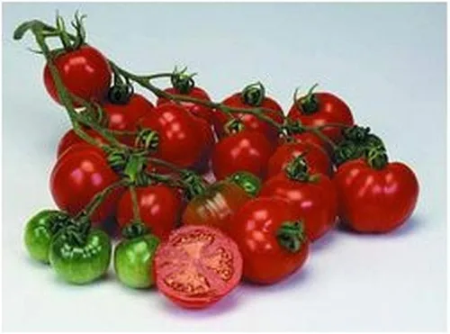 Miniatura 2 de Grappoli Corbarino Grape Tomate - Tomate de la antigua Italia!!!(10 - Semillas)