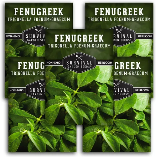 Miniatura 11 de Semillas de fenogreco para plantar, hierba heredera Methi para microverdes, hojas y cosechas de semillas de especias, semillas de jardín sin OMG