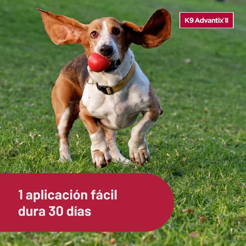 Miniatura 6 de K9 Advantix II Tratamiento y prevención recomendado por veterinarios para pulgas, garrapatas y mosquitos para perros medianos Perros 11-20 libras