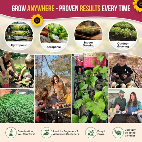 Miniatura 6 de Organo Republic Paquete de variedad de 40 semillas de vegetales – 26000 semillas autóctonas sin OMG para plantar verduras y frutas a granel