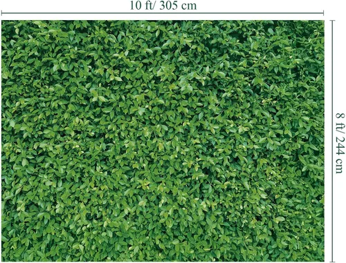 Miniatura 2 de Mixweer Telón de fondo de pared de hojas verdes de 8 x 10 pies, fotografía 3D de hierba vegetal, naturaleza, fondo de tela de poliéster