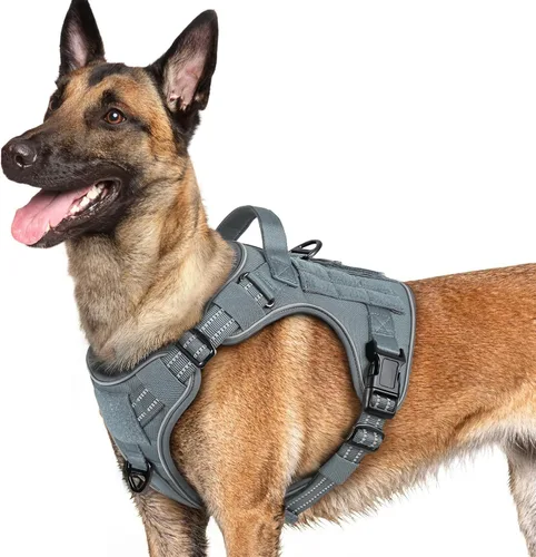 Miniatura 52 de rabbitgoo - Arnés para perros pequeño sin tirones, chaleco táctico de servicio con Molle y asa de control, arnés militar ajustable y reflectante