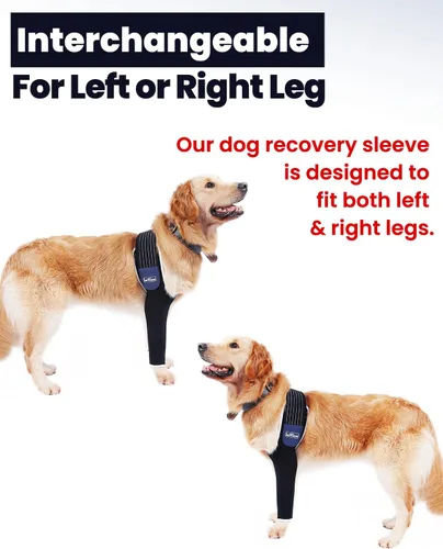 Miniatura 5 de Manga de pierna delantera para perro, XL, cómoda, material transpirable, banda elástica ajustable, para puntos calientes, heridas, vendajes