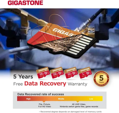 Miniatura 8 de Recuperación de datos de 5 años: tarjeta micro SD GIGASTONE de 256 GB, cámara 4K Pro MAX, compatible con Gopro, Dash Cam, DJI, Drone, cámara