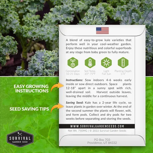 Miniatura 2 de Baby Kale Seeds - Mezcla de mezcla de jardín de col rizada y plana de hoja rizada - Paquete variado de reliquia para verduras de corte y regreso