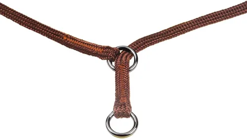 Miniatura 2 de Show Slip Collar – Collar de Perro de Conformación – Perfecto para Cachorros Pequeños hasta Perros Grandes – Collar de Perro de Diseñador Casero