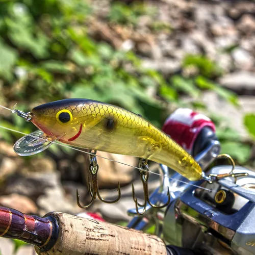 Miniatura 4 de Cotton Cordell Ripplin' Red Fin Crankbait - Señuelo de pesca, 4 1/2 pulgadas, 3/8 onzas