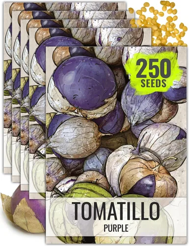 Miniatura 13 de Seed Needs Semillas de tomatillo para plantar tomatillos Grande Rio Verde, reliquia sin OMG y sin tratar, cultiva un huerto al aire libre cultivado