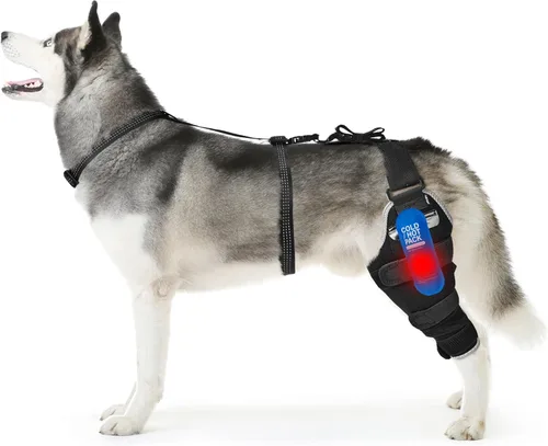 Miniatura 12 de Perro ACL Brace pata trasera – Soporte de pierna trasera ajustable transpirable con gel de compresión caliente/frío para artritis, hinchazón