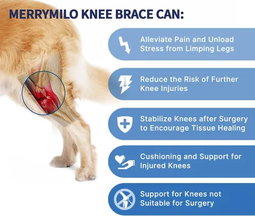 Miniatura 2 de Rodillera para perros para patas traseras y traseras, soporte de pierna canina para lesiones de ligamento cruzado anterior, CCL y ligamento cruzado