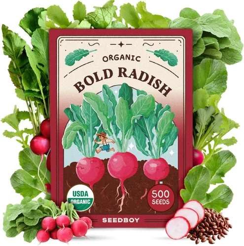 Miniatura 9 de Seedboy Semillas orgánicas de tomate Beefsteak arcoíris para plantar en interiores y exteriores, paquete de semillas de vegetales sin OMG