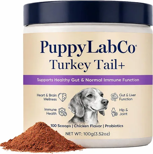 Puppy Lab Co Cola de pavo, PuppyLabCo - Hongo de cola de pavo para perros, hongo cola de pavo + probióticos, suplemento en polvo, sabor a pollo,