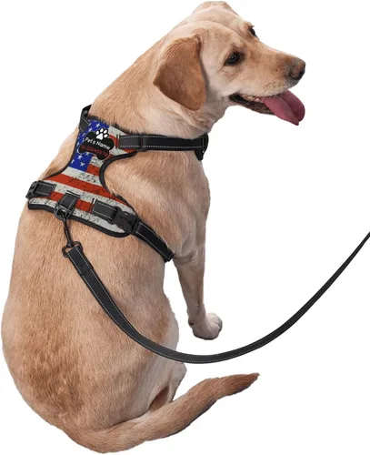 Miniatura 3 de Arnés personalizado para perro sin tirones, chaleco personalizado con bandera estadounidense vintage con número de teléfono y nombre de mascota