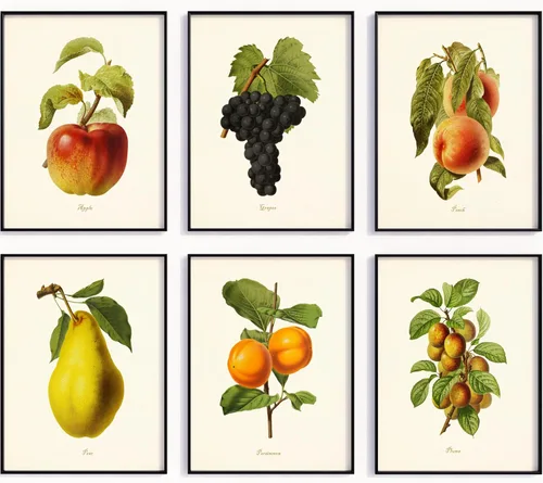 Impresiones artísticas vintage de frutas botánicas – Juego de 6 (manzana, uvas, melocotón, pera, caqui, ciruelas) decoración de cocina de granja,