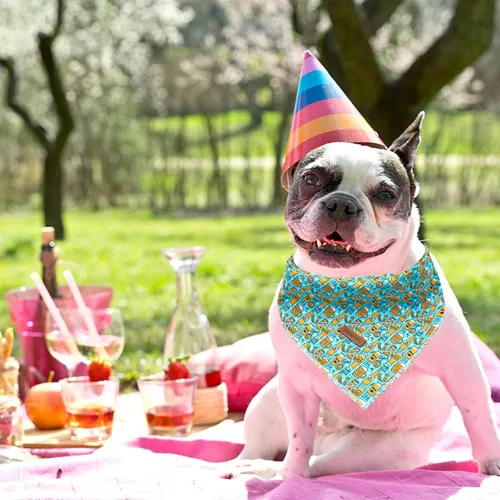 Miniatura 6 de Lionheart Glory Bandana para perro, bufanda azul para perro, estampado de cerveza, ajustable para perros pequeños a grandes