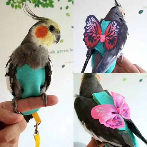 Miniatura 5 de Arnés de 2 piezas para pañales para pájaros con forro impermeable, ropa para pañales para pájaros con correa voladora, cuerda protectora para loros