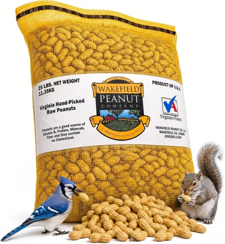 Wakefield Premium Virginia Peanuts In-Shell para ardillas, Blue Jays & Wildlife – Bolsa a granel de 25 libras – Recogida a mano, cruda, sin sal, con