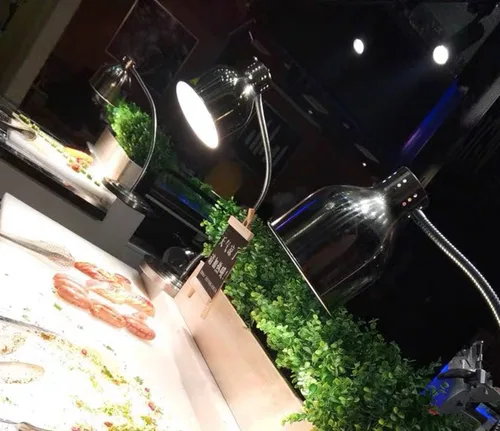 Miniatura 4 de Lámpara de calor de alimentos de doble bombilla Restaurante Calentador de alimentos Luz Portátil Lámparas de calefacción Plata (doble cabeza)