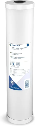 Pentair Pentek RFC-20BB Filtro de Agua de Carbón Big Blue, 20 Pulgadas, Cartucho de Repuesto de Carbón de Flujo Radial de Servicio Pesado para Toda
