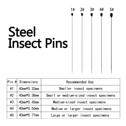 Miniatura 2 de WILLBOND Kit de 500 pines de acero inoxidable para insectos, pasadores de entomología, colecciones de mariposas, paquete variado para entomología