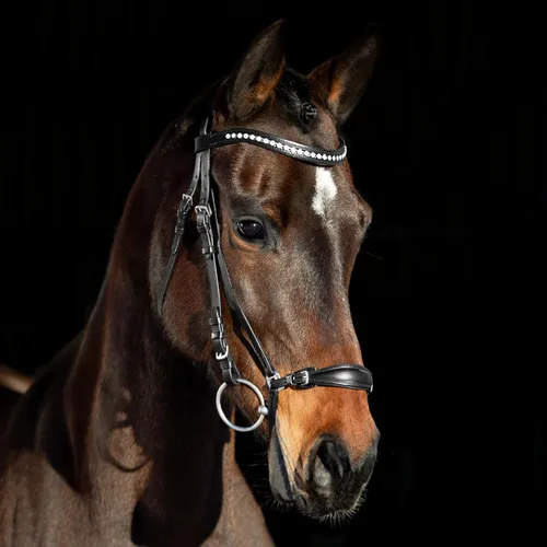 Miniatura 4 de HORZE Bergen Leather Remont Bridle