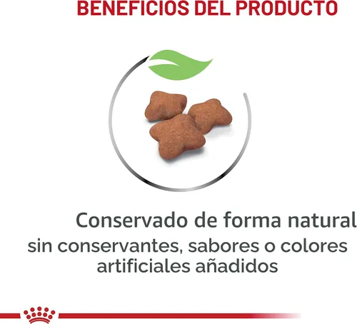 Miniatura 3 de Royal Canin Feline Health Nutrition Alimento Seco para Gatitos Esterilizados/Castrados, Bolsa de 2.5 libras
