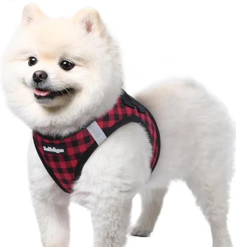 Miniatura 15 de rabbitgoo Arnés para perro pequeño, chaleco de malla suave para cachorros con hebilla de seguridad, arnés reflectante transpirable para mascotas
