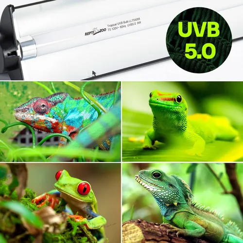Miniatura 6 de REPTI ZOO Kit combinado de iluminación para reptiles T5 HO UVB de 8 W, campana de terrario de reptil de 12 pulgadas, con reflector curvado