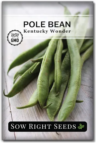 Sow Right Seeds - Semillas de frijol Wonder Pole de Kentucky para plantar - Paquete de reliquia sin OMG con instrucciones para plantar un huerto en