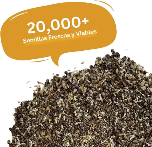 Miniatura 4 de Mezcla de flores silvestres tolerantes a la sequía, más de 20,000 semillas, paquete resellable extra grande de 1 onza - Semillas de flores sin OMG