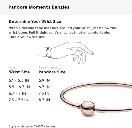 Miniatura 8 de PANDORA Jewelry Moments Bangle Charm Bracelet