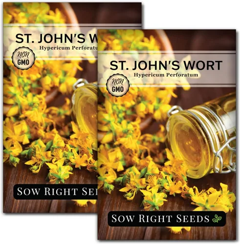 Miniatura 7 de Sow Right Seeds - Semillas de hierba de San Juan para plantar - Herencia sin OMG - Hierba medicinal fácil de cultivar - Ideal para jardines