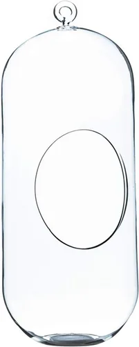 WGV - Terrario de cristal colgante para plantas, 5 pulgadas de ancho, 12 pulgadas de alto, farol para suculentas de aire transparente, soporte para