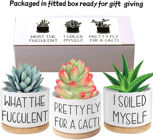 Miniatura 6 de Macetas para suculentas, macetas divertidas de cerámica de 3.15 pulgadas con etiquetas para plantas, macetas pequeñas con agujeros de drenaje