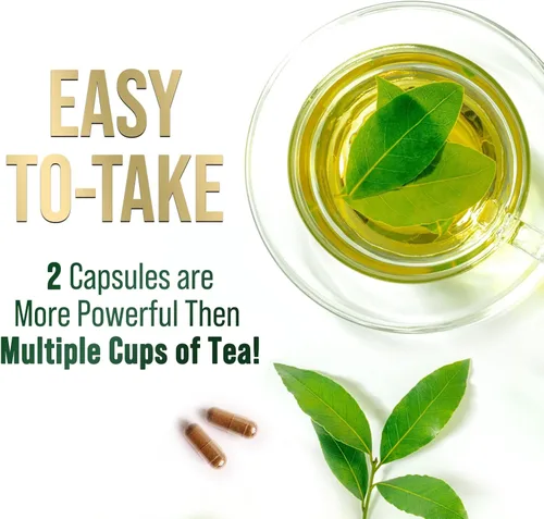 Miniatura 7 de Extracto de té verde 98% EGCG estandarizado – 3 veces de fuerza para energía natural – Auxiliar cardíaco con polifenoles – cafeína suave, fabricado