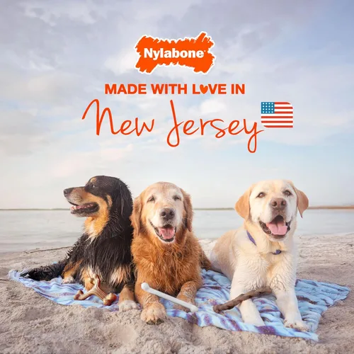 Miniatura 9 de Nylabone Healthy Edibles Masticables Naturales para Perros Golosinas Masticables de Larga Duración para Perros, Sabor a Carne Asada y Pollo