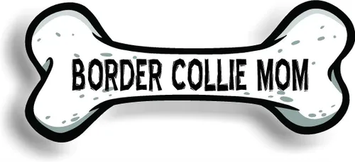 Border Collie Dog Mom Bone - Imán para parachoques de automóvil, magnético para refrigerador, refrigerador decorativo, oficina, pizarra blanca,