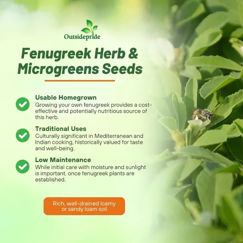 Miniatura 3 de Outsidepride Semillas de fenogreco y microgreens - 1000 unidades. Semillas anuales, versátiles y fáciles de cultivar, semillas de hierbas