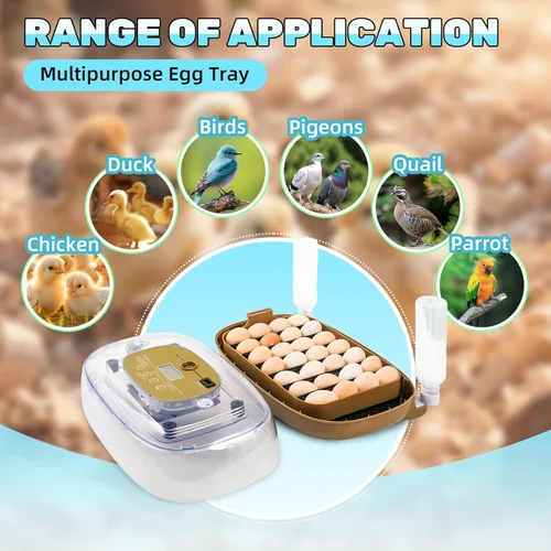 Miniatura 2 de Ploomi Incubadora de 24 huevos con recarga automática de agua y control de humedad, girador automático de huevos, vela LED integrada, preprogramas