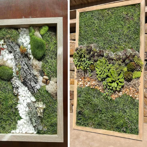 Miniatura 5 de Musgo preservado para manualidades, plantas en maceta, 2 pies cuadrados, tapete de musgo preservado natural seco para macetas, manualidades