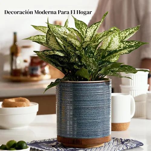 Miniatura 7 de DOWAN Soporte giratorio de 360° para utensilios de cocina extragrande, 7.6 pulgadas para encimera, utensilios de cocina para decoración de cocina