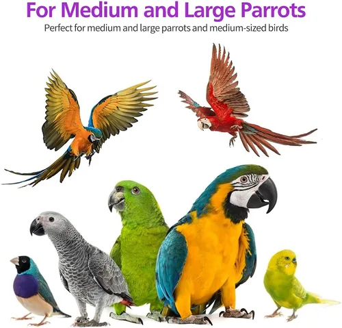Miniatura 5 de RUBY.Q Paquete de 2 juguetes grandes de loro, juguete de loro de pájaro de 20 pulgadas, juguetes multicolor de madera natural para masticar pájaros
