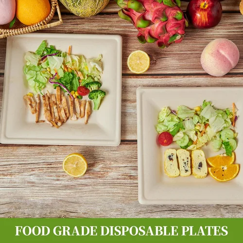 Miniatura 6 de ECOLipak Paquete de 125 Platos de Papel Cuadrados Compostables de 6 Pulgadas Desechables, Platos de Caña de Azúcar Biodegradables Ecológicos de Alta