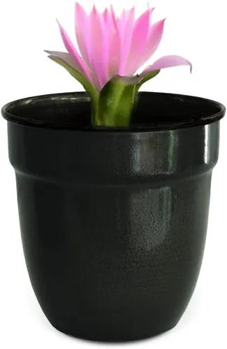 Headwind Glazed Ironstone Boutique Collection Maceta para Plantas de Interior – Mini Venti de 5 pulgadas – Macetas de color grafito para flores de
