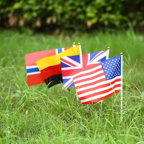 Miniatura 7 de Bandera de 200 países, banderas deportivas de palillo de país, parte superior redonda de mano pequeña en palo, bandera de países del mundo en cada