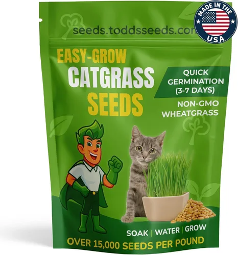 Todd's Seeds – Hierba para gatos de interior o exterior, 1 libra de hierba de trigo – Premium, 100% libre de químicos (mejor que orgánico) sin GMO,