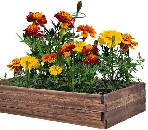 Miniatura 4 de Soporte de estaca para plantas, paquete de 6, anillos de soporte de jaula de plantas de un solo tallo para jardín, estacas de soporte para plantas